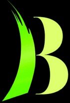 br_logo